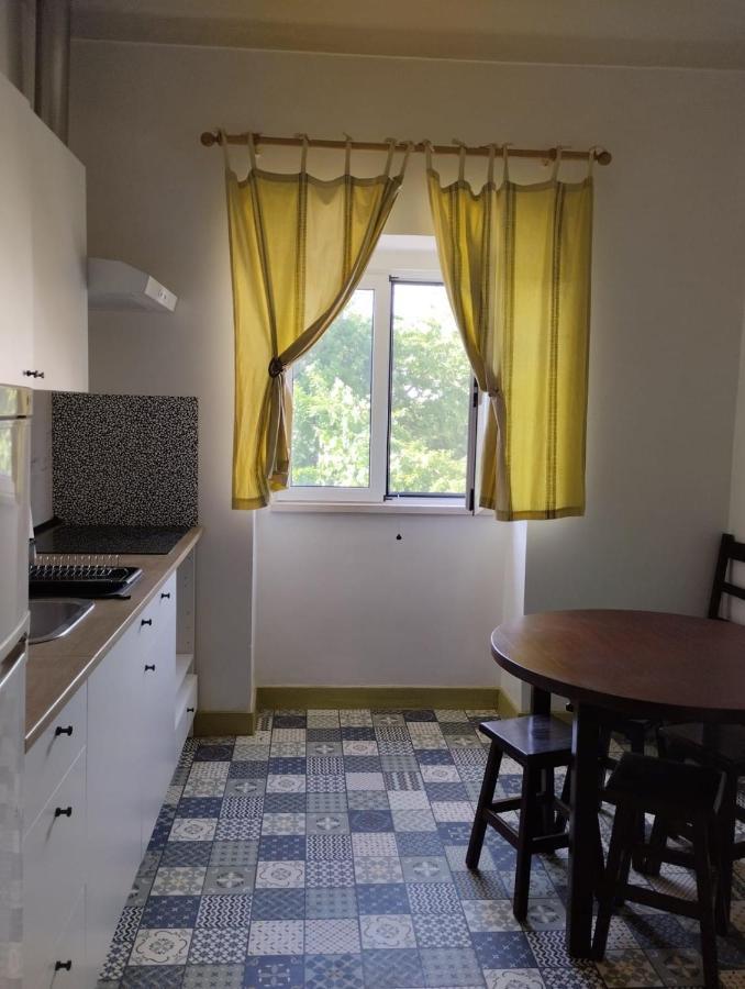 Casa Xara Apartment Proenca-a-Nova Bagian luar foto